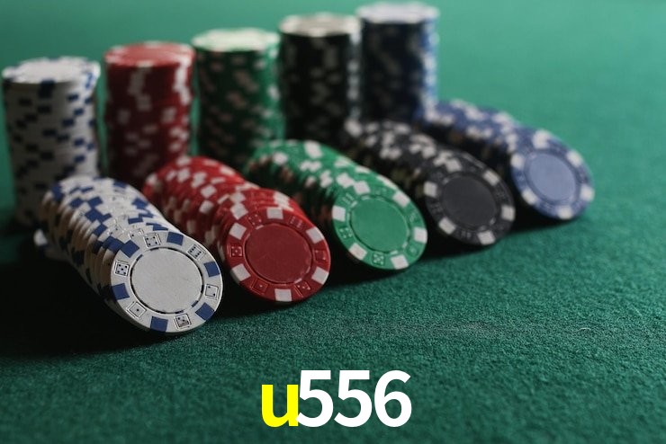Experiência VIP u556